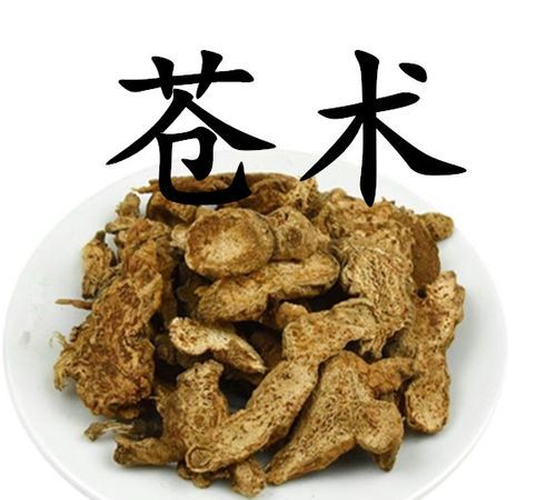 苍术的功效与作用及食用方法,黄柏和苍术的功效与作用及禁忌图3