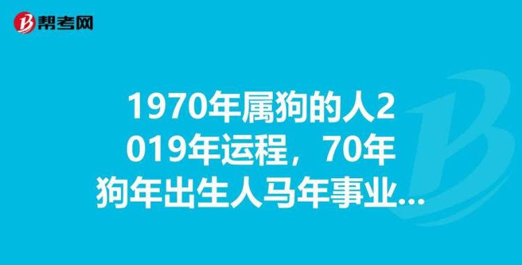 203属狗的整年运程,属狗人的运程图2