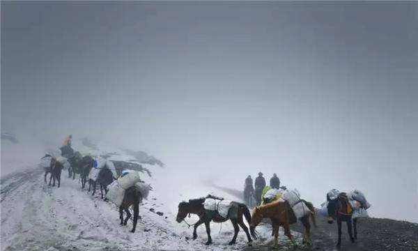 茶马古道上的传奇家族,丽江茶马古道的简介 风景图4