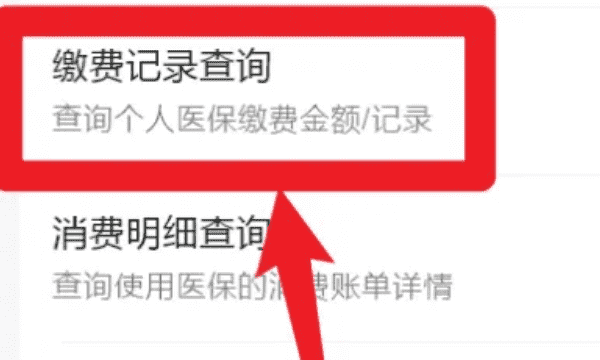 微信怎么样查询医保缴费情况，微信怎么查孩子医保缴费记录查询图5