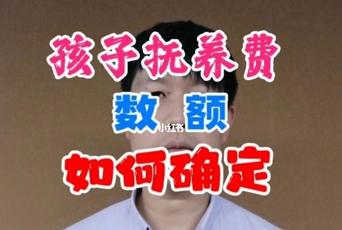 怎么确定离婚时孩子抚养费金额,离婚时子女抚养费如何计算图1