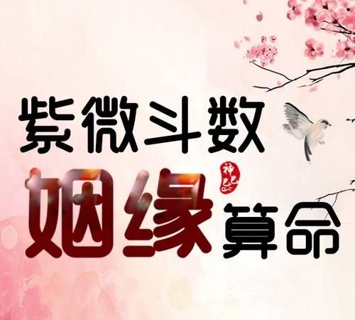 免费姻缘配对算命超准,合婚姻八字免费测试结婚图1