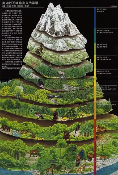 58算命免费算74年4月9日卯时女命,闰4月出生的人命好图3