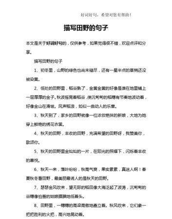 关于稻谷唯美的句子,稻子的优美句子短句图3