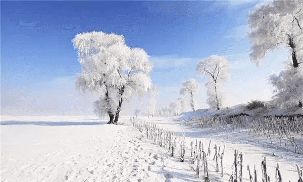 关于大雪的谚语，雪有关的谚语有哪些呢图2