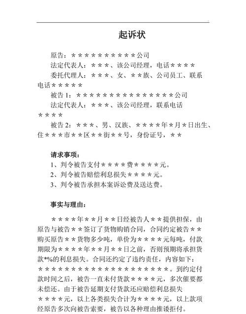 怎么样进行债务纠纷官司,债务纠纷该如何向法院提起诉讼图3