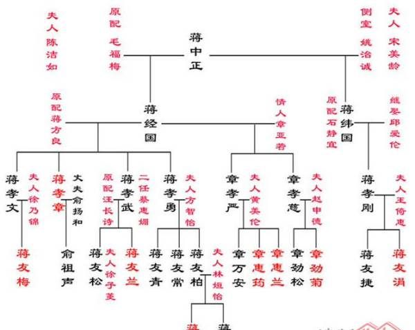 怎样制作家谱简笔画,家谱图怎么画图3