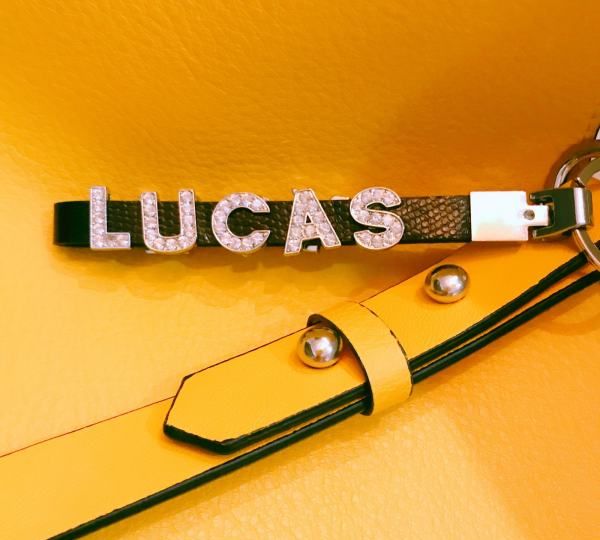 lucas是什么意思,Lucas什么意思中文翻译图2