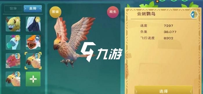 创造与魔法怎么蹲鹦鸟,创造与魔法如何抓鸡图4