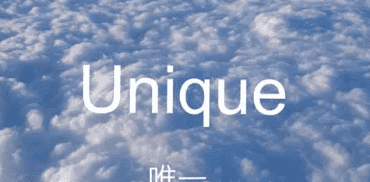 unique是什么意思,unique是什么意思