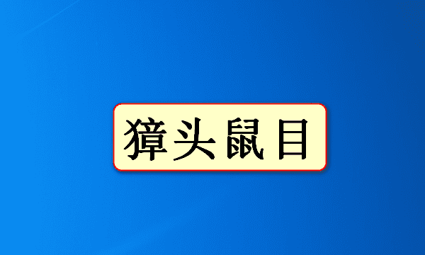 关于鼠的成语四个字的有哪些,带鼠的四字成语图4