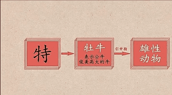 特的笔顺,特别的特的笔顺图2