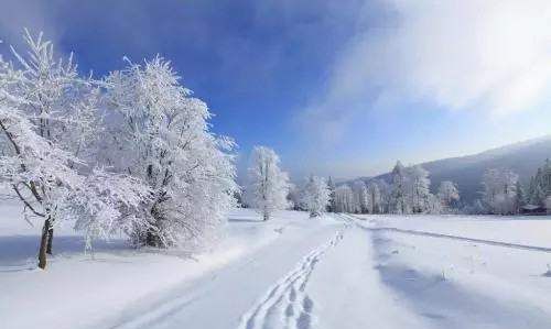 关于雪的暖心的句子,雪中送炭暖人心的句子图2