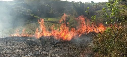 梦见大火烧山火势很旺最后扑灭,梦见火烧山自己去把火扑灭图2