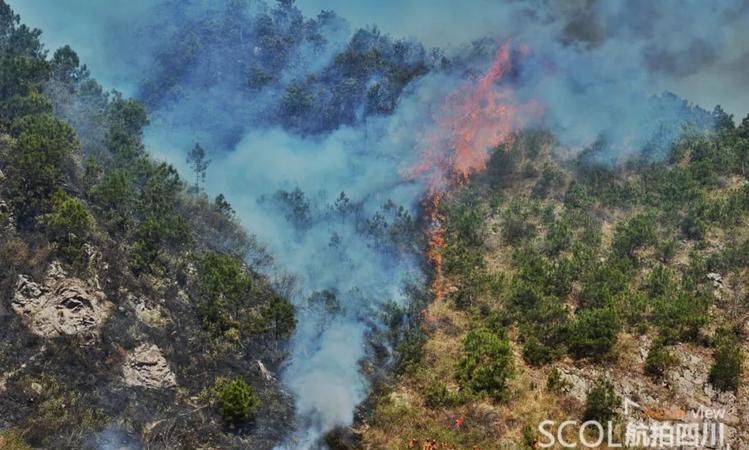 梦见大火烧山火势很旺最后扑灭,梦见火烧山自己去把火扑灭图4