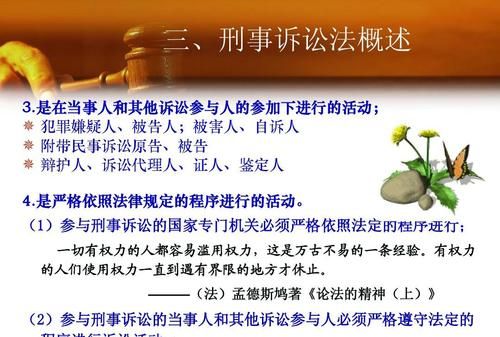 刑事诉讼法证人规定如何,刑事诉讼法询问未成年证人的规定图4