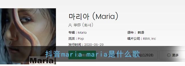 maria是什么意思中文,Maria是什么意思英语翻译