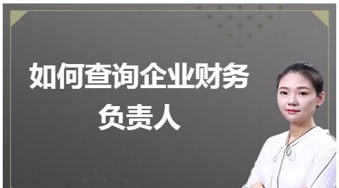 公司法人担任财务负责人合法,公司法人担任财务负责人可以图2