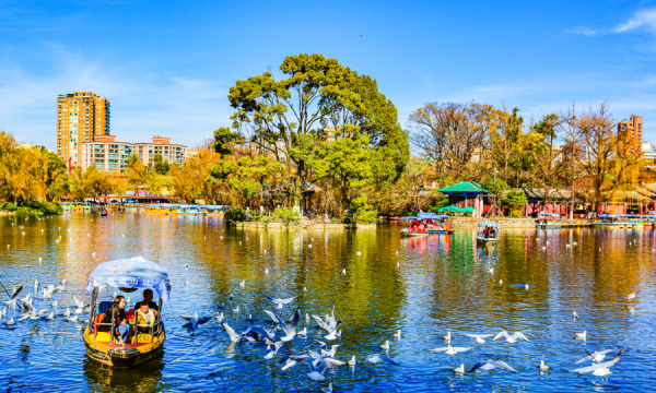 现在最佳旅游地,中国十大最佳旅游城市排名图8