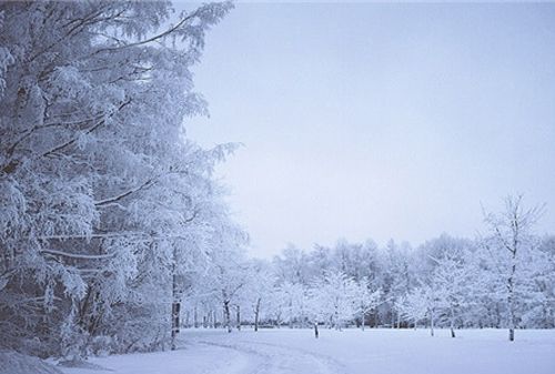 梦见下雪 周公解梦,梦见下雪是什么意思周公解梦网