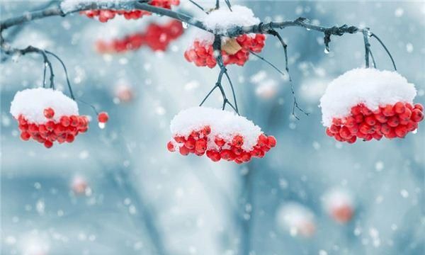 梦见下雪 周公解梦,梦见下雪是什么意思周公解梦网图5