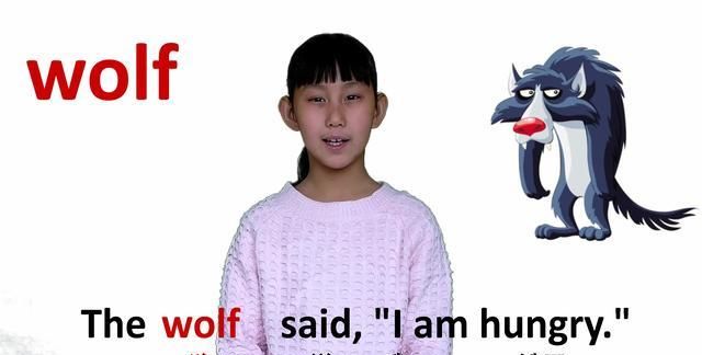 wolf是什么意思,wolf是什么意思图2