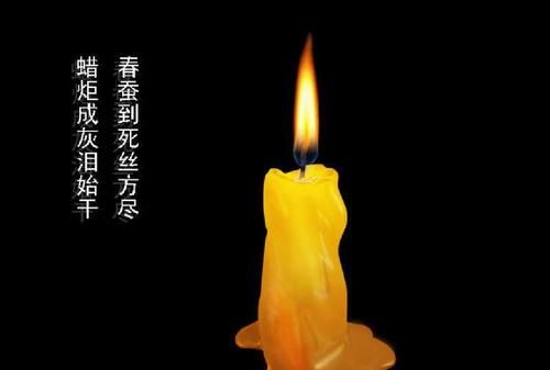 春蚕到死丝方尽意思,春蚕到死丝方尽蜡炬成灰泪始干什么意思图3