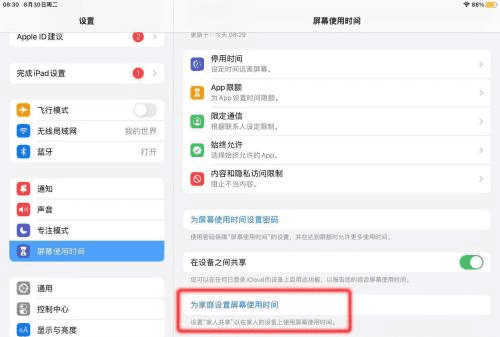 苹果平板ipad 可以设置使用时间,怎么给孩子设置ipad使用时间密码图3