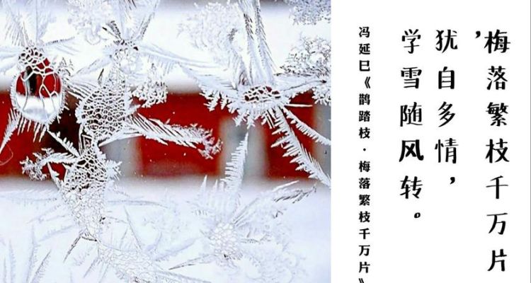 有关冬雪的诗句,描写冬雪的诗句古诗词大全图4