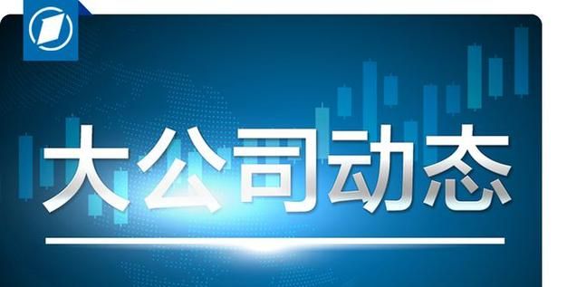 倍比罚金制的作用是什么,刑法罚金数额规定最新