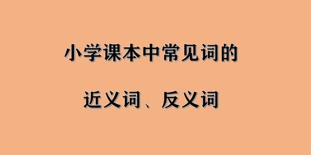 迟眉钝眼反应词,迟懦的词语迟懦的词语是什么图1