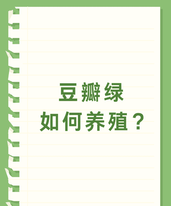 豆瓣绿怎么养殖,豆瓣绿养殖方法和注意事项有图3