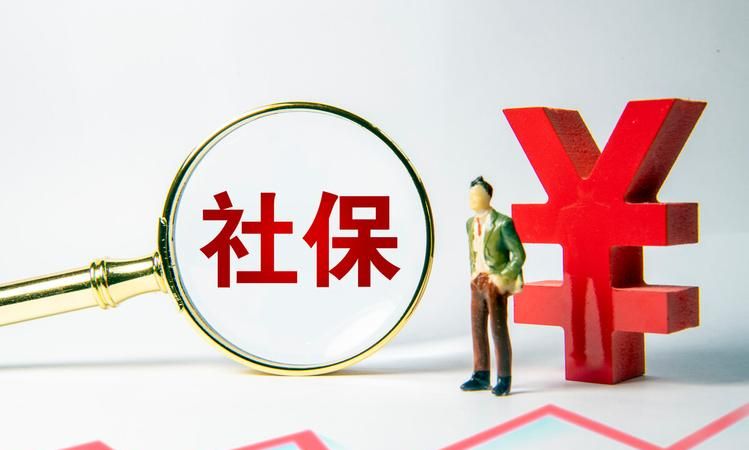 个人交社保怎么交,个人社保怎么交费图4