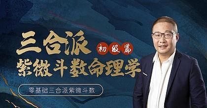 杨老师紫微免费算命,8月20日出生是什么命