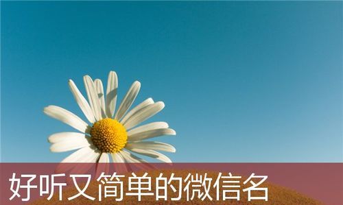 微信号怎么改好听,微信号怎么改好听