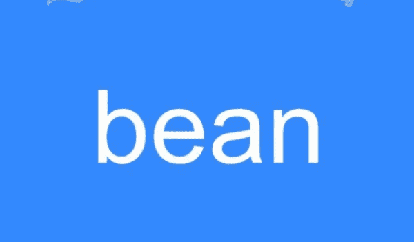 bean是什么意思,bean是什么意思英语图1