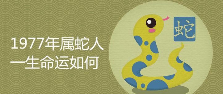 属蛇的人运程,6月7日阳历出生属蛇双子座的运气如何图3