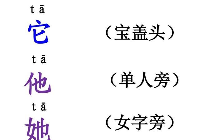 秃宝盖的字有哪些一年级,秃宝盖的字图2