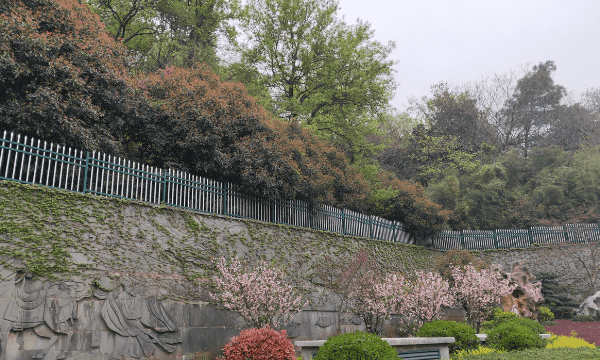 南京景点 分别有哪些,南京著名的景点有哪些图6