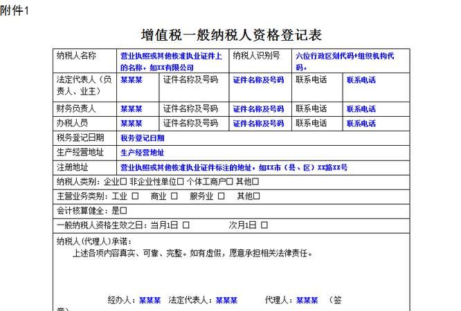 一般纳税人增值税怎么交,一般纳税人如何交税图2