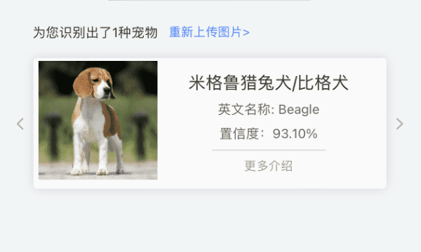 狗品种识别神器,扫一扫识别狗的品种软件图6