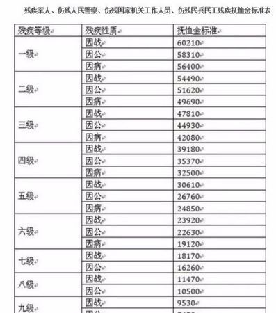 六级伤残待遇是怎么样的,六级工伤伤残津贴发到什么时候图3