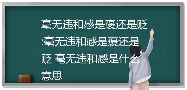 无违和感什么意思,毫无违和感意思是什么意思