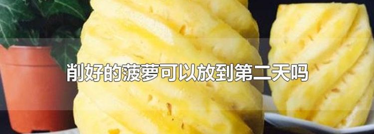 修好的菠萝怎么保存,削好的菠萝怎么保存时间最长图4