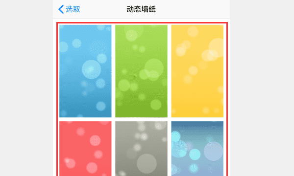 苹果live壁纸怎么不动,苹果手机live photo怎么设置动态壁纸图14