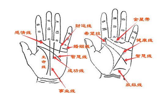 男右手掌纹图解,男人右手掌纹图解算命