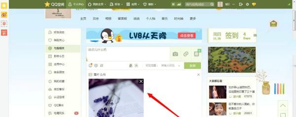 空间说说带,qq空间发表说说不显示图9