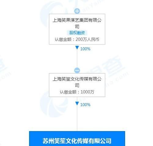 演艺公司注册条件,开娱乐公司需要具备什么条件图3