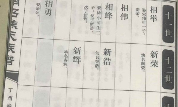 家谱族谱制作,如何绘制家谱 3种方法来绘制家谱名称图2