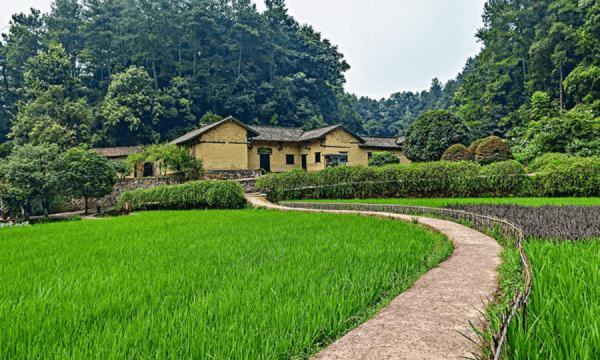 湖南旅游十大必去景区,湖南必去十大景点有哪些图8